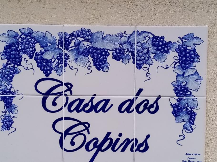 Casa dos Copins Lamego Exterior foto
